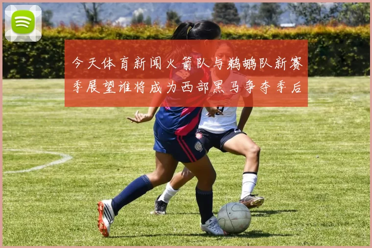 今天体育新闻火箭队与鹈鹕队新赛季展望谁将成为西部黑马争夺季后赛席位
